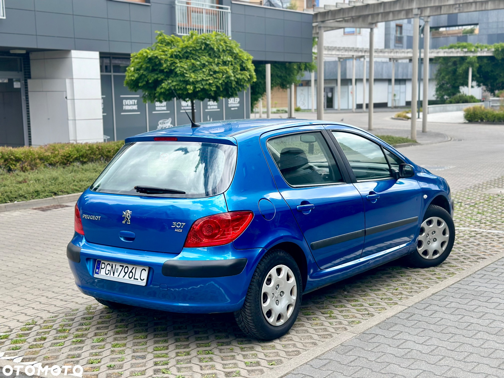 Peugeot 307 1.6 - 10