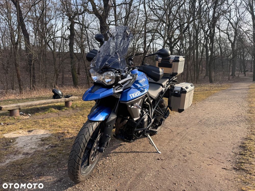 Triumph Tiger - 3