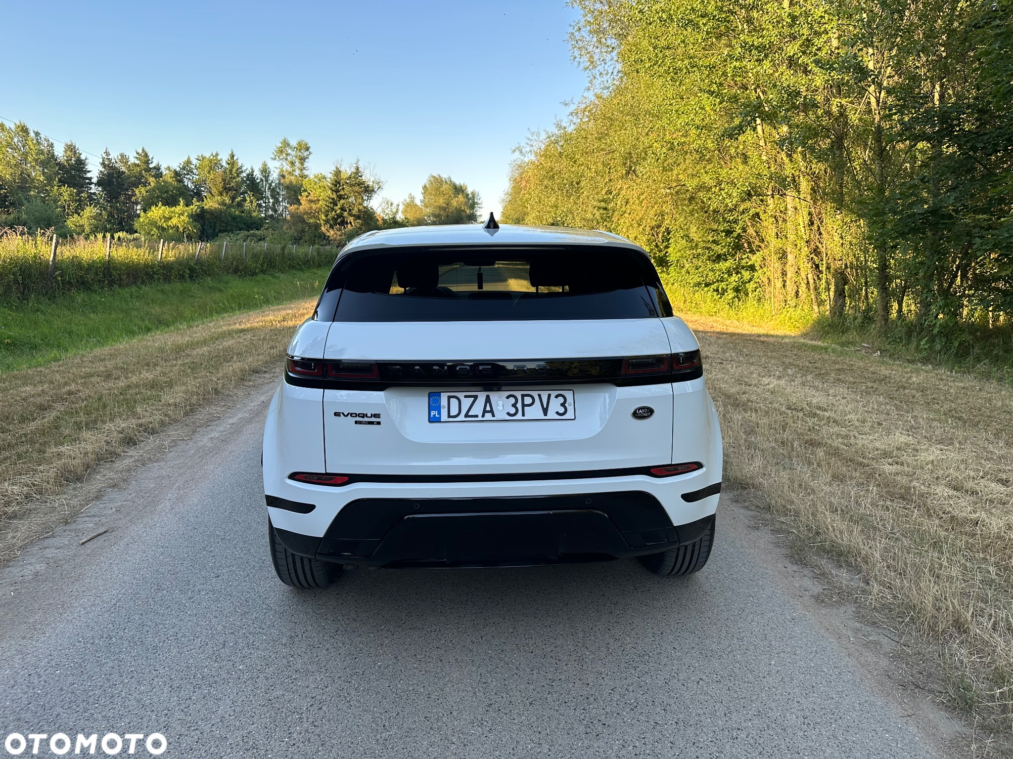 Land Rover Range Rover Evoque 2.0TD4 SE Dynamic - 8