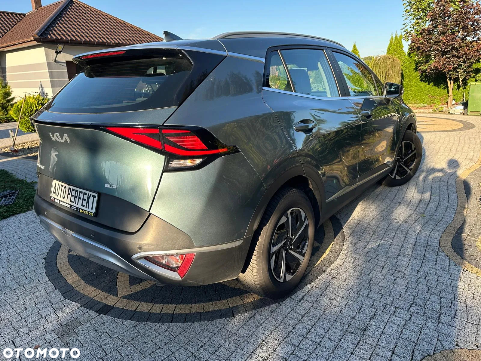 Kia Sportage 1.6 T-GDI MHEV L 2WD DCT - 5