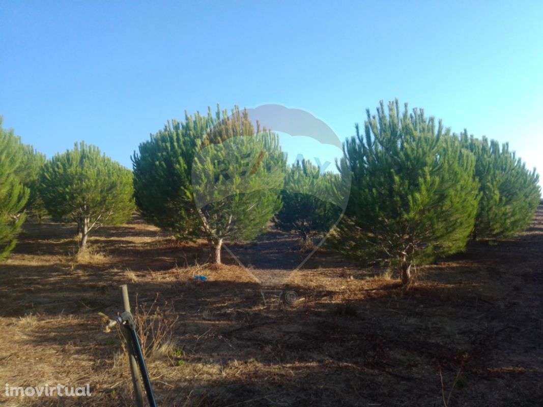 Terreno  para venda - Grande imagem: 4/9