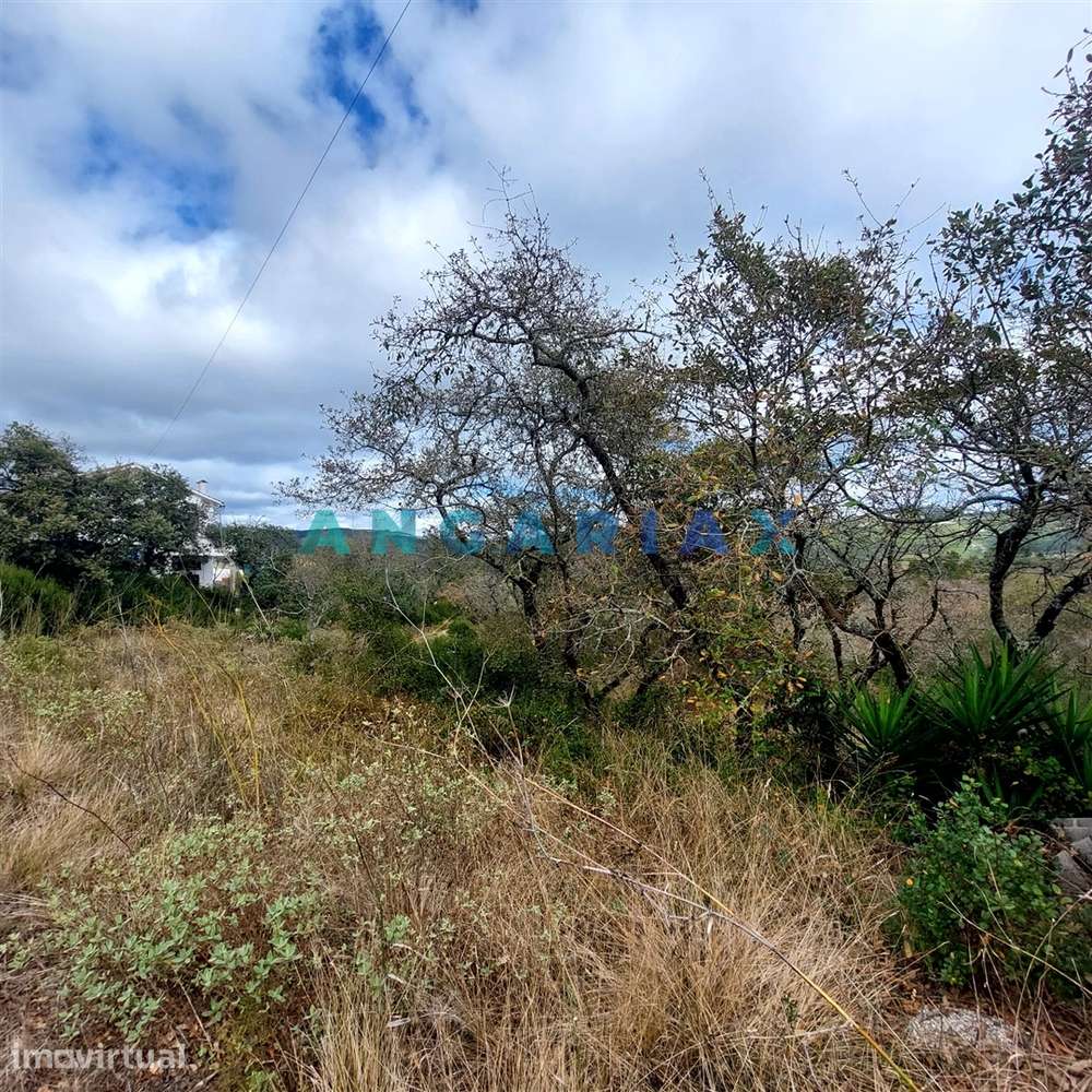 ANG1223 - Terreno para Venda em Alqueidão da Serra, Porto de Mós - Grande imagem: 4/5