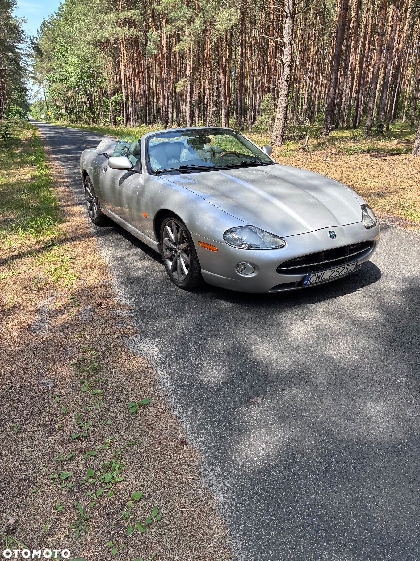 Jaguar XK8 Cabriolet - 37