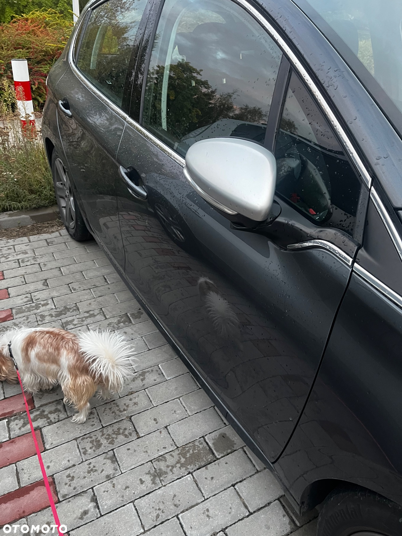 Peugeot 208 1.4 HDi Active - 4