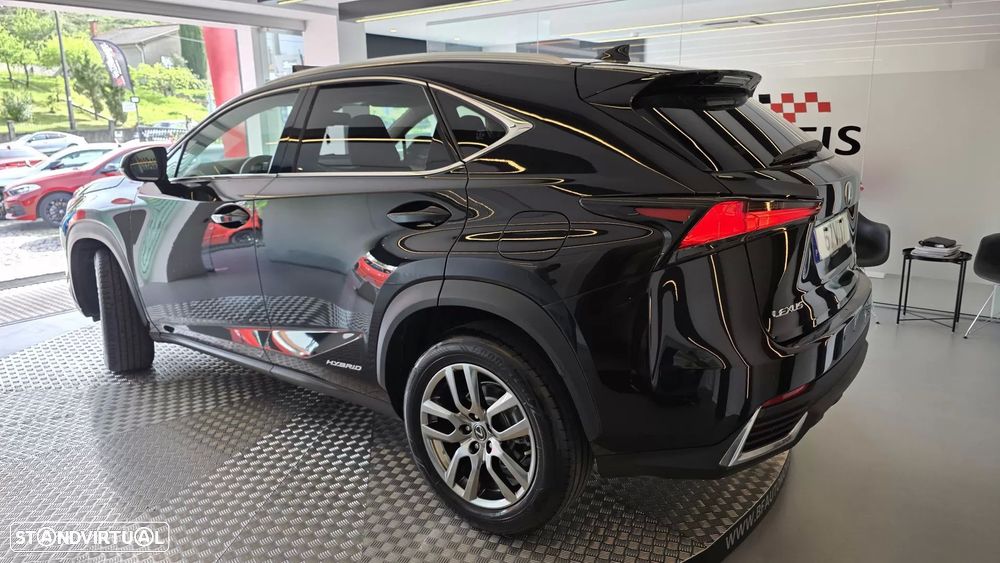 Lexus NX 300h Executive - 21