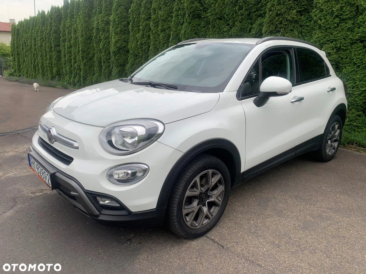 Fiat 500X 1.4 Multiair 4x2 S&S Cross - 6