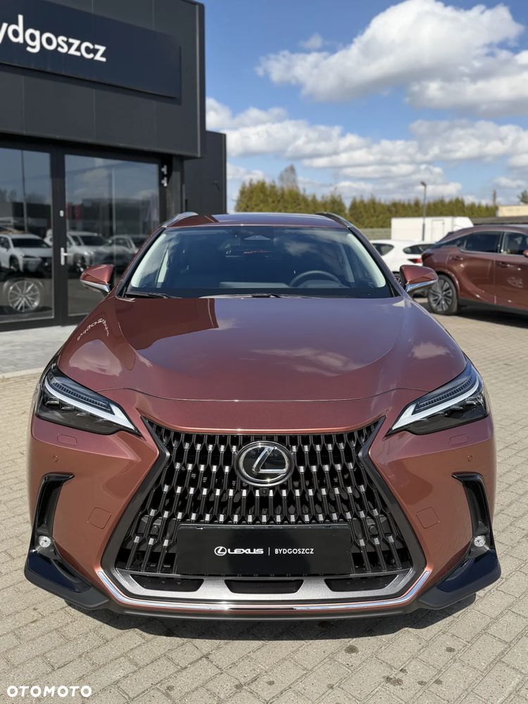 Lexus NX 350h Omotenashi AWD - 2