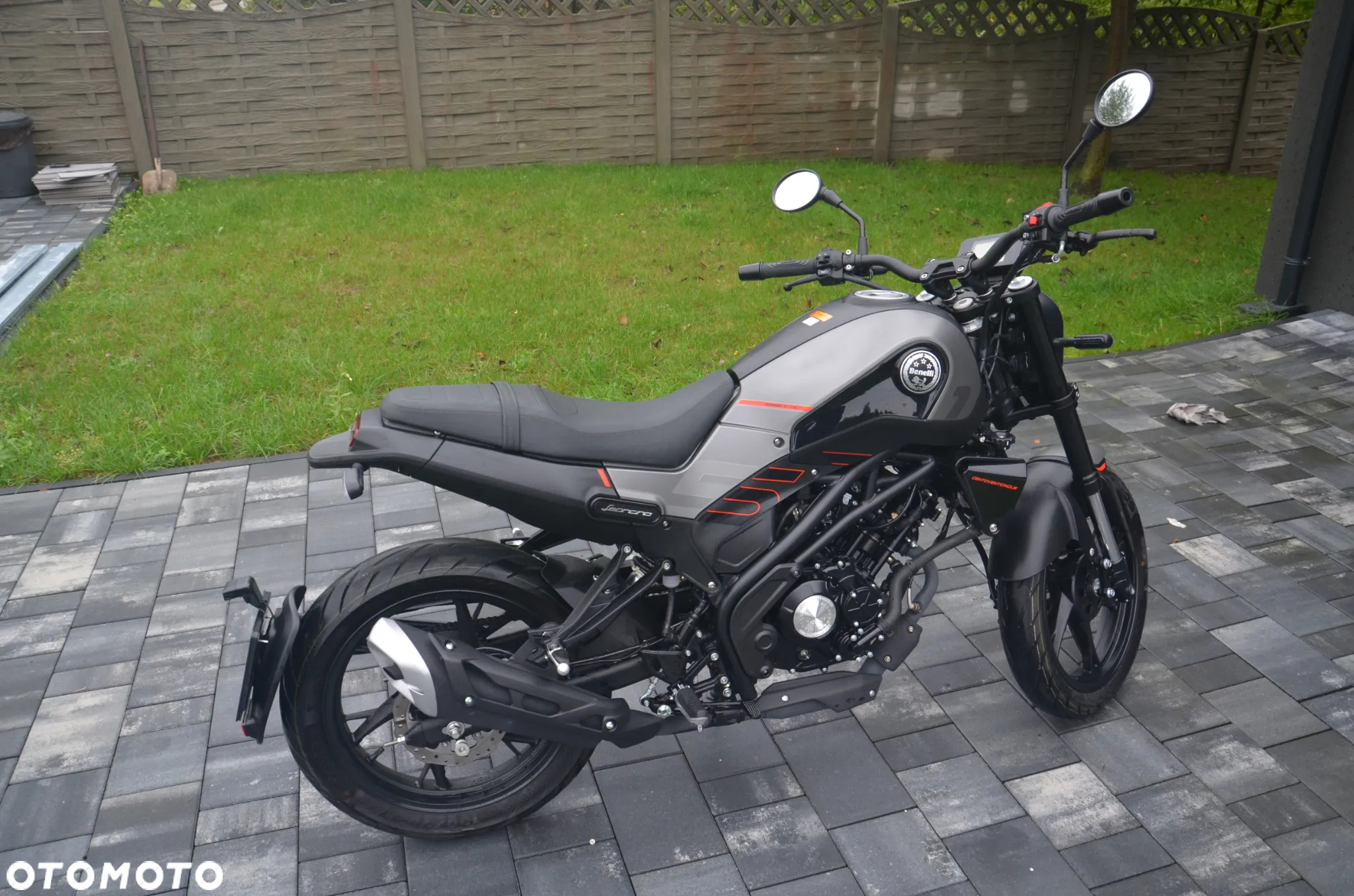 Benelli Leoncino - 2