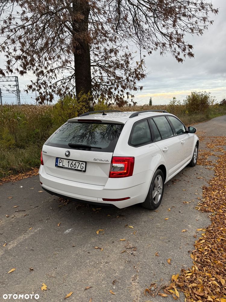 Skoda Octavia 1.6 TDI Ambition - 3