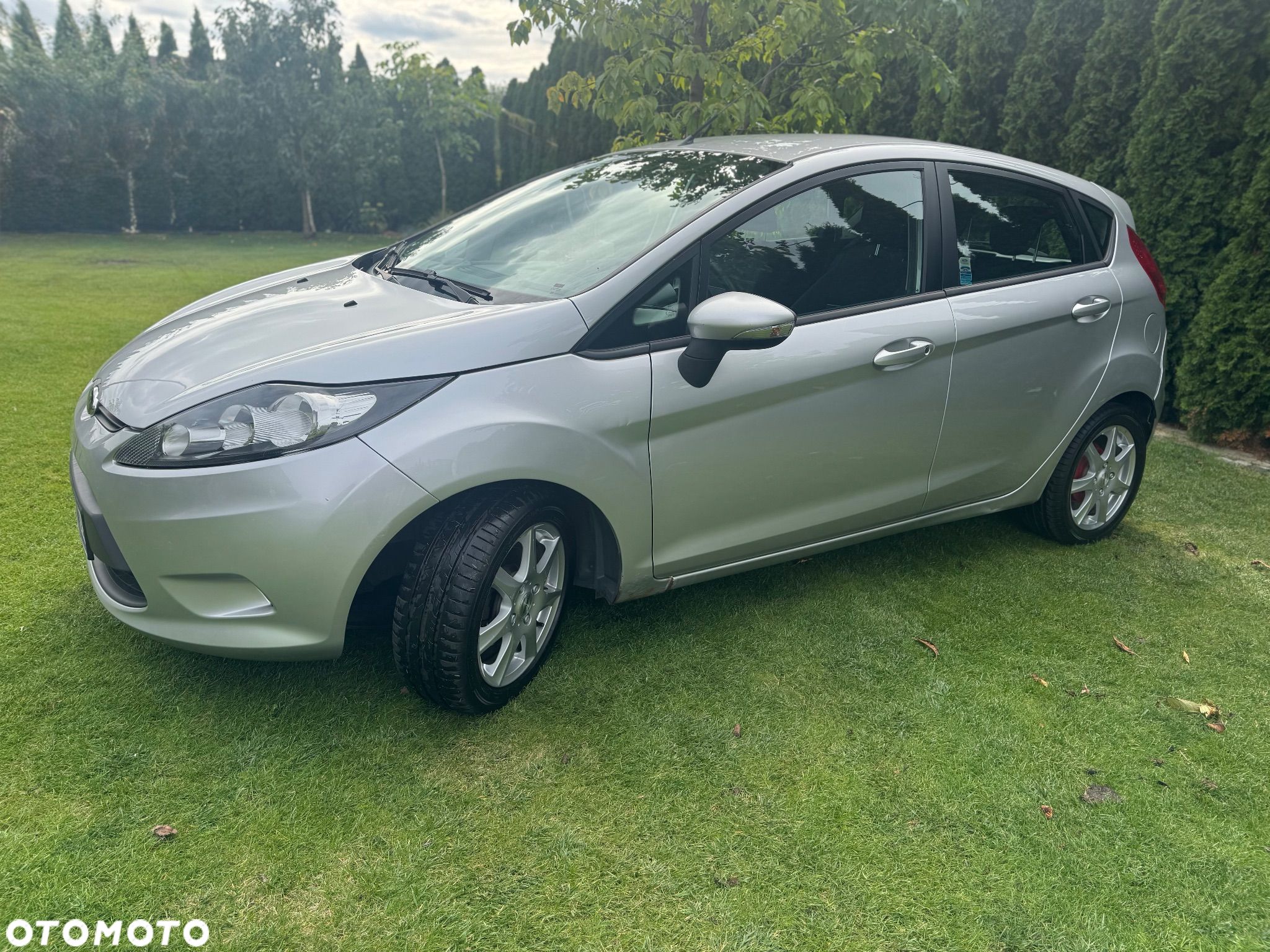 Ford Fiesta - 1