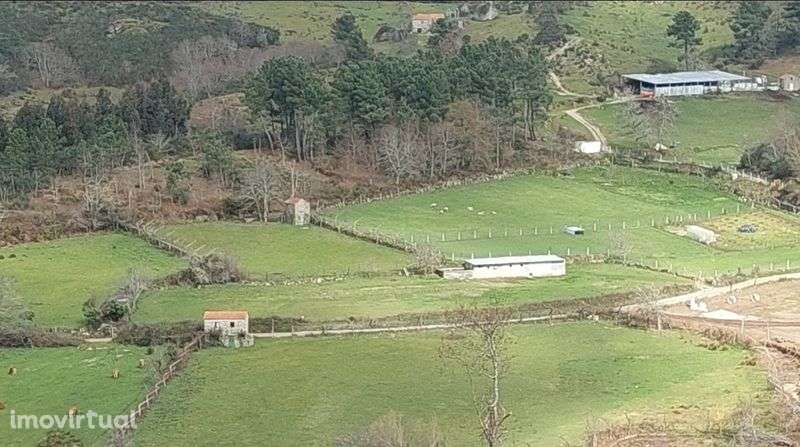 Terreno no Gove/Baião para venda - Grande imagem: 2/4