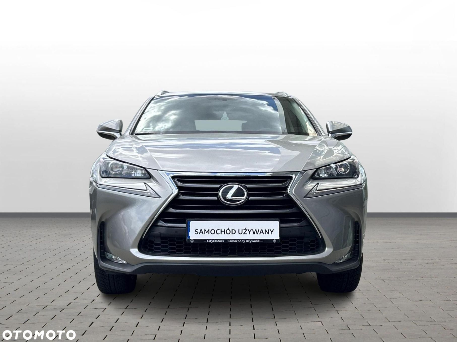 Lexus NX - 8