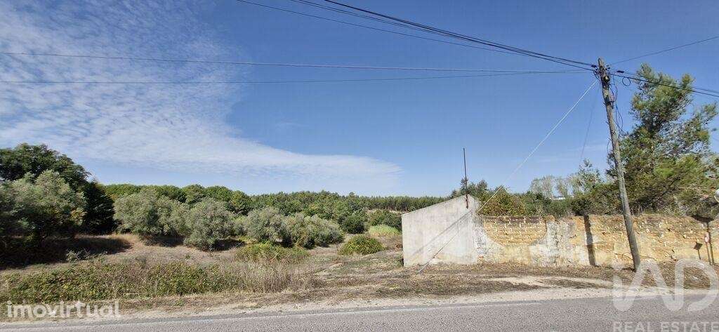 Casa / Villa T2 em Rio Maior de 42,00 m2 - Grande imagem: 3/30
