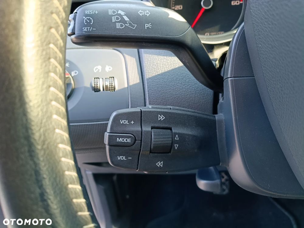 Seat Ibiza - 25
