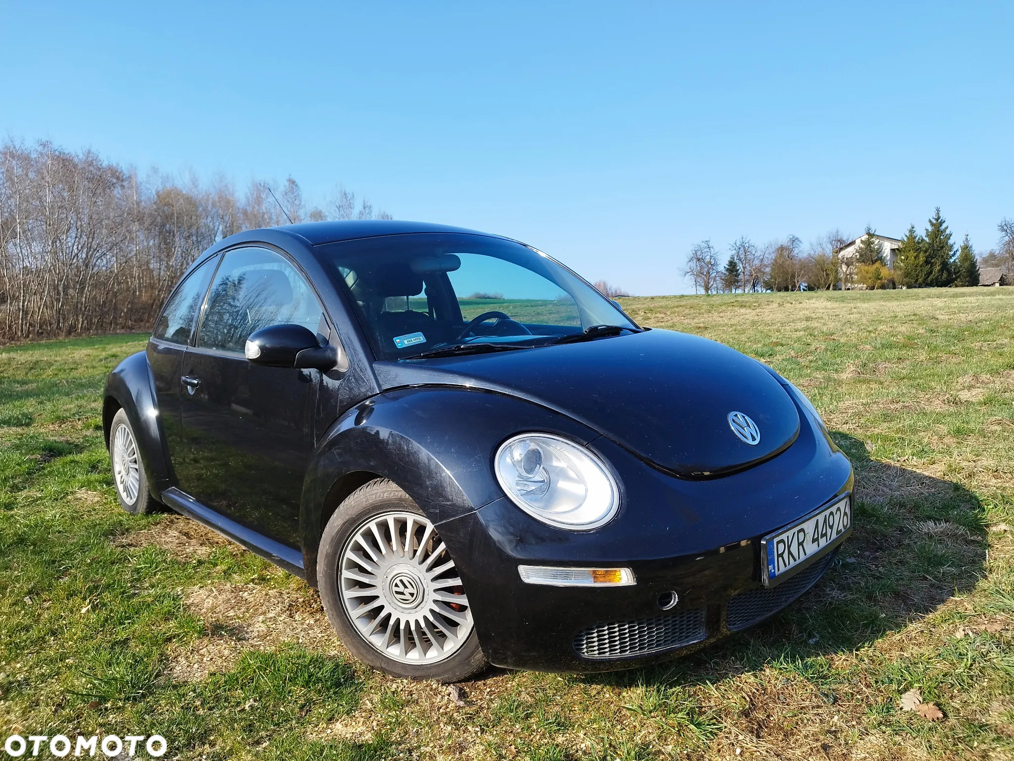 Volkswagen New Beetle - 10