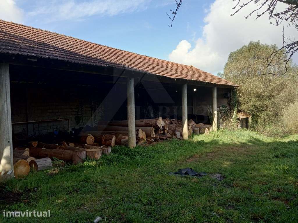 Terreno para exploração agrícola em Lanheses - Grande imagem: 3/8