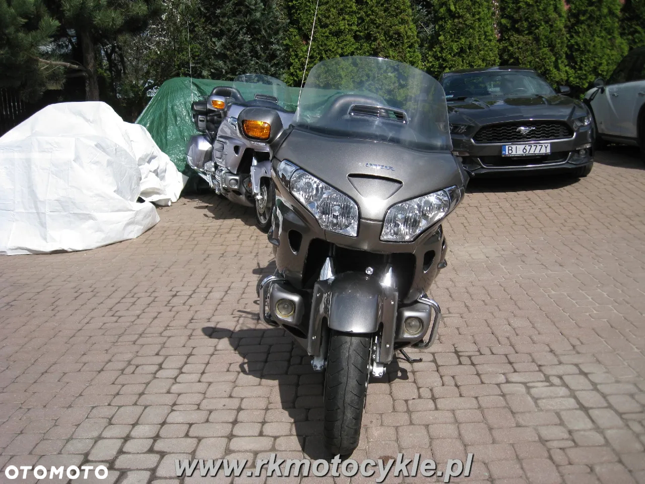 Honda GL - 8
