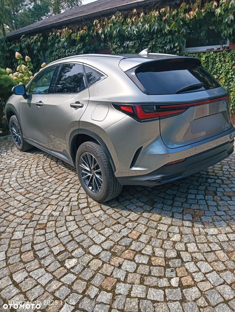 Lexus NX 350h Prestige AWD - 36