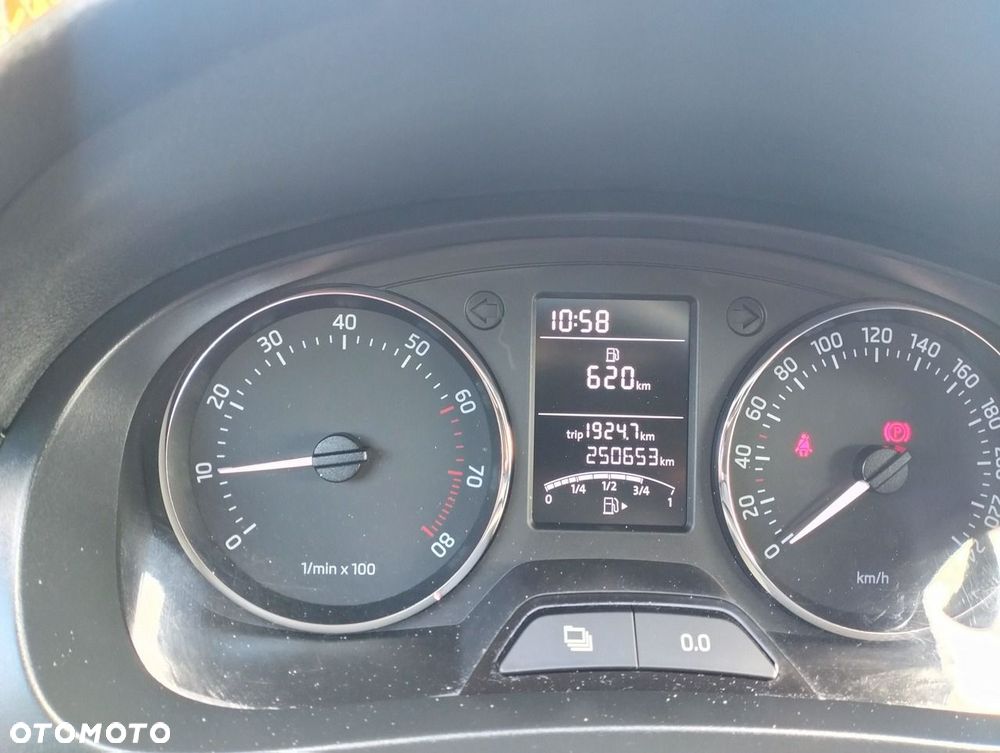 Skoda RAPID - 9