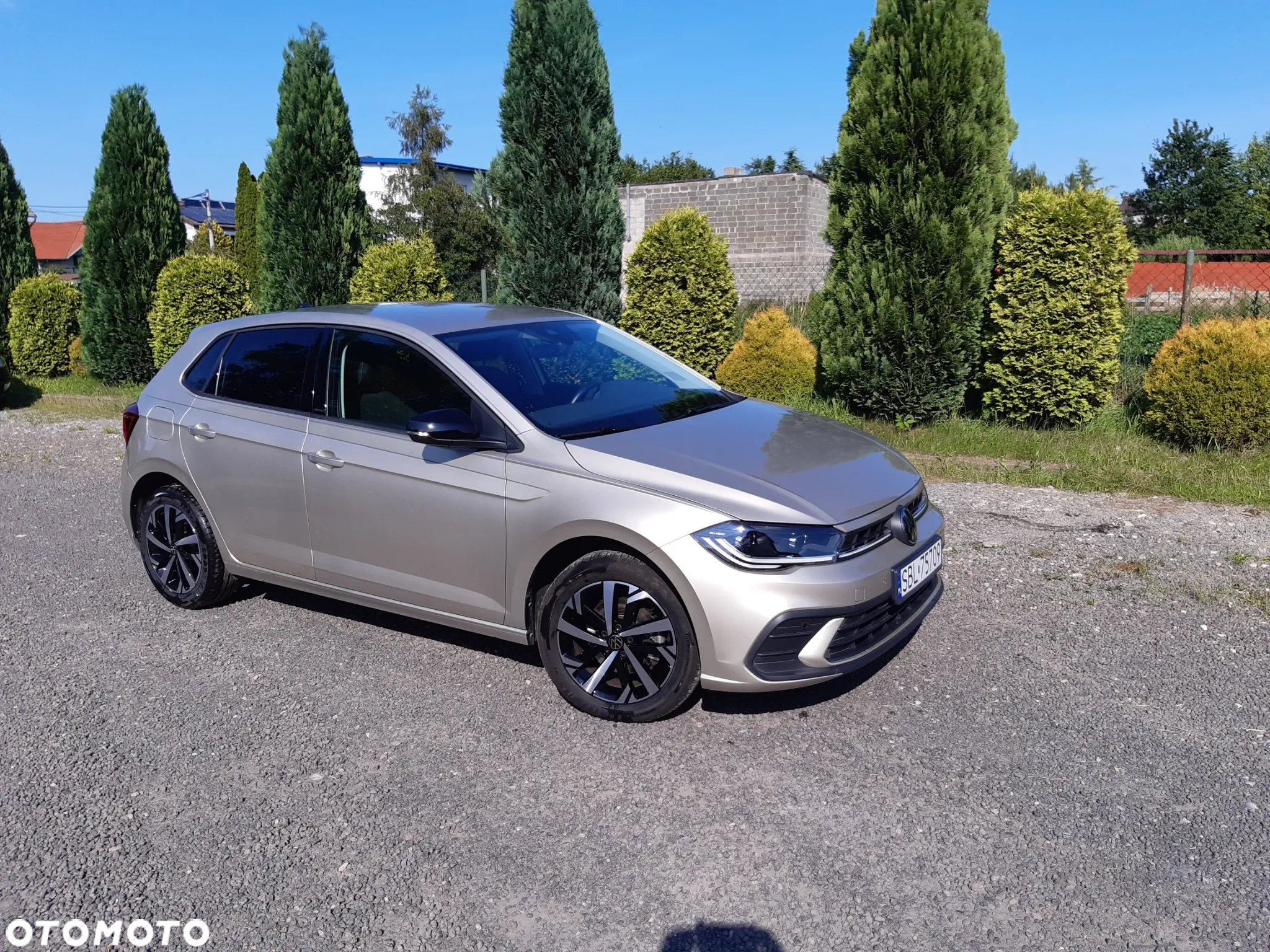Volkswagen Polo 1.0 TSI OPF DSG Move - 5