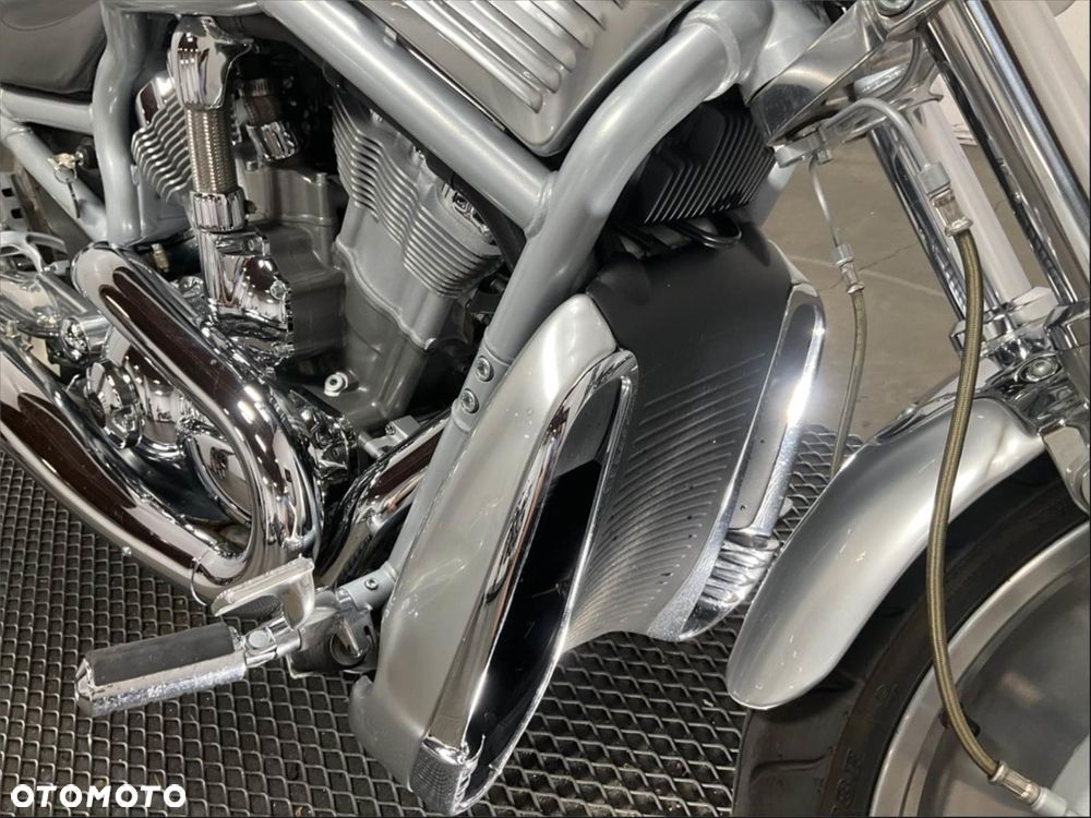 Harley-Davidson Softail V-Rod - 10