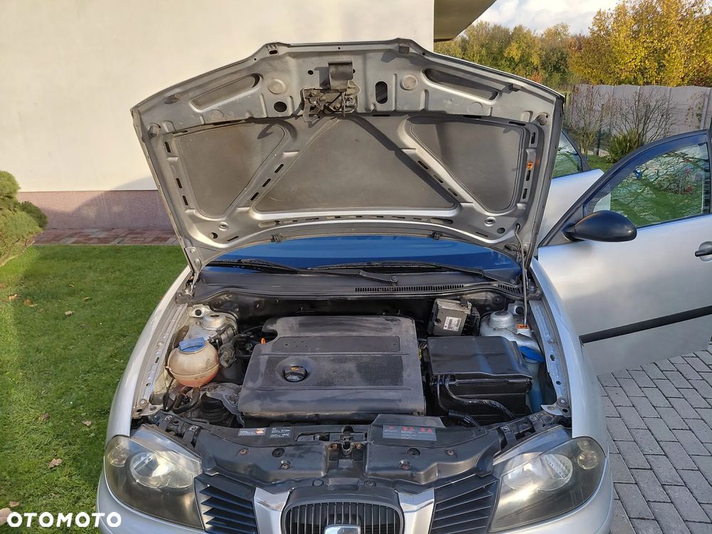 Seat Ibiza - 18