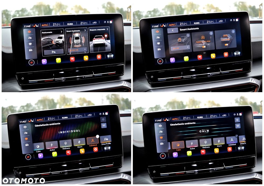 Cupra Formentor 1.5 TSI DSG - 36