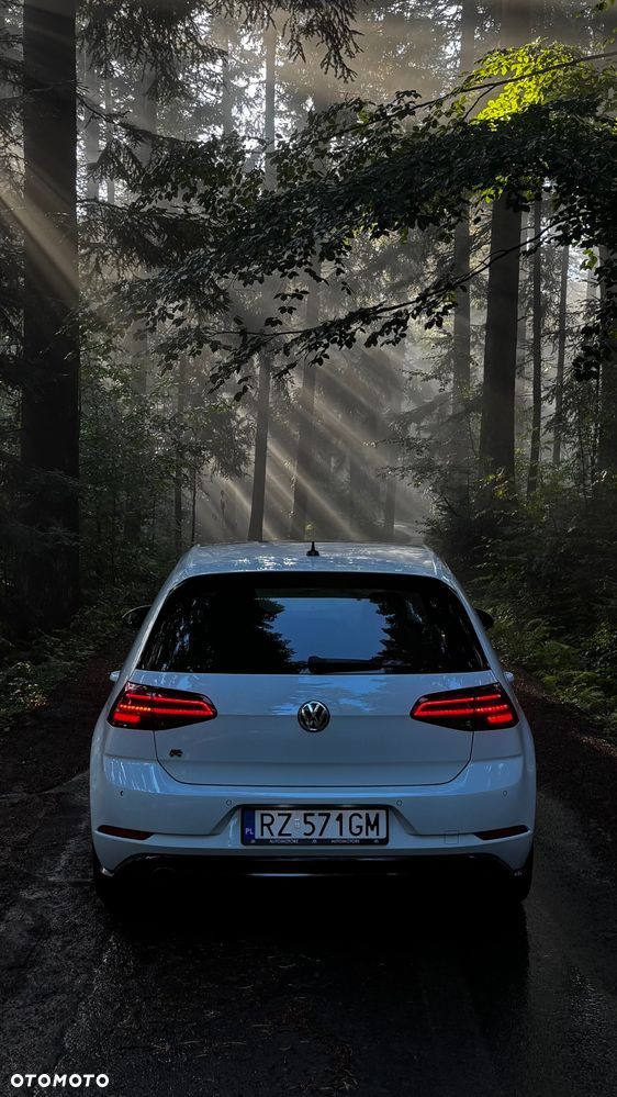 Volkswagen Golf VII 2.0 TSI BMT 4Mot R DSG - 1