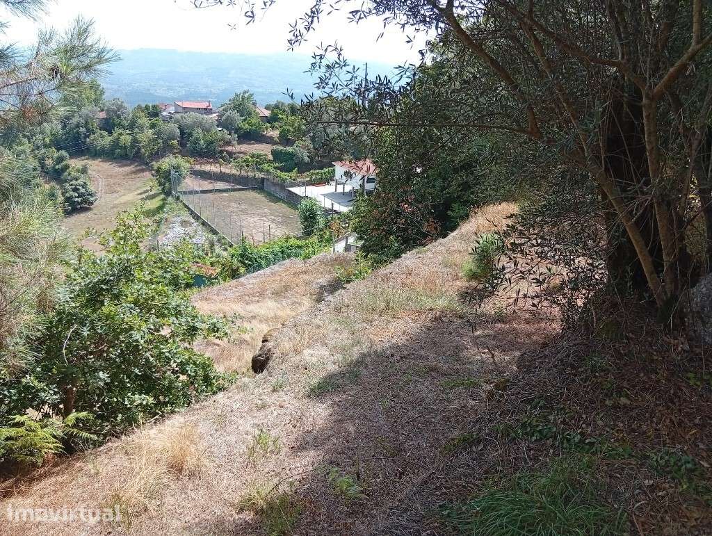 Terreno Agrícola  e Florestal - Seramil - Grande imagem: 5/16