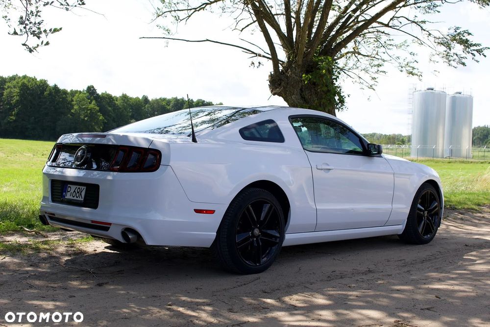 Ford Mustang 3.7 V6 - 21