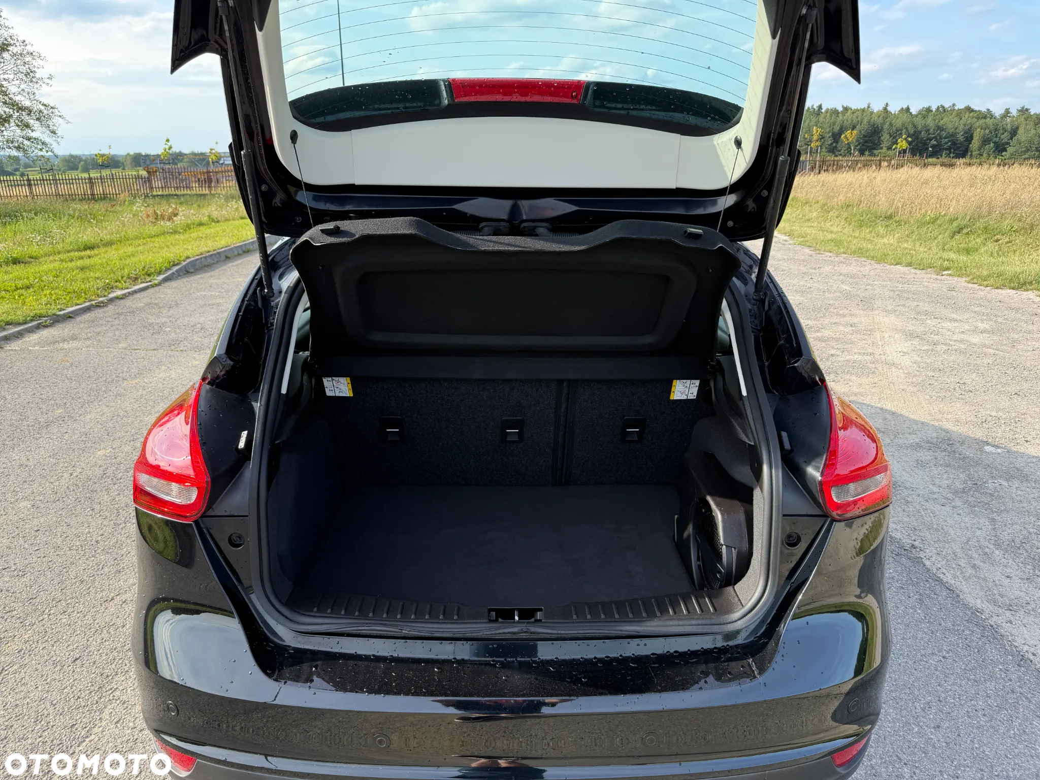 Ford Focus - 9