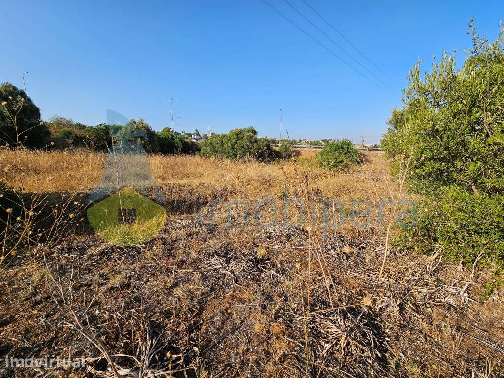 Terreno em zona rural, em Pêra / Armação de Pêra, para agricultura ... - Grande imagem: 4/11
