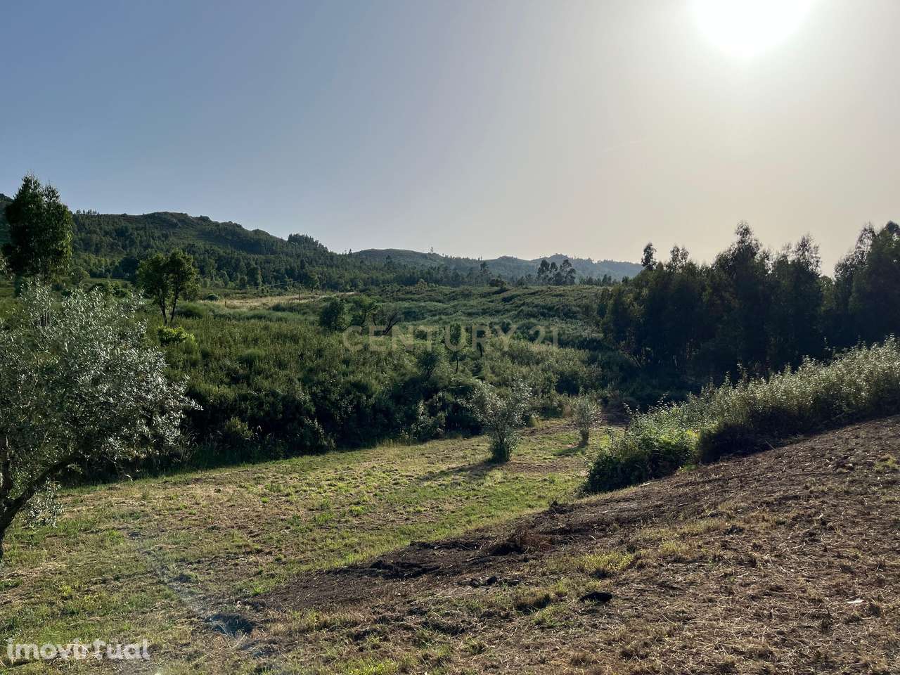 Propriedade de Campo com 35.400 m² entre o Robalo e o Monte Fundeiro n - Grande imagem: 5/50