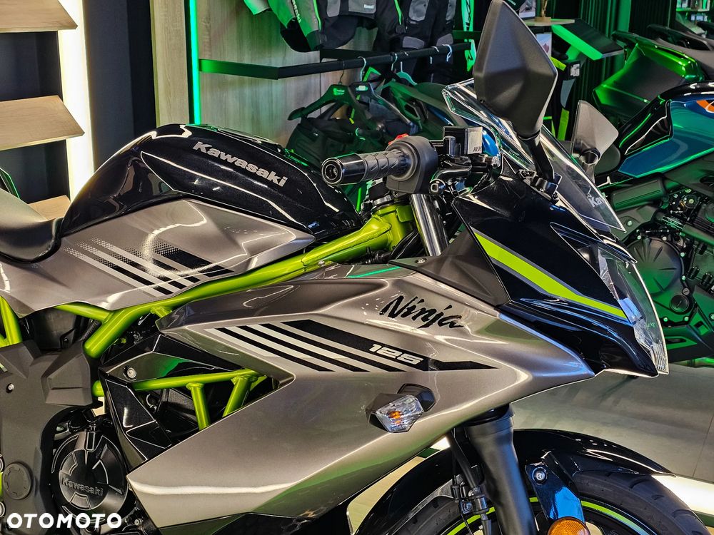 Kawasaki Ninja - 7