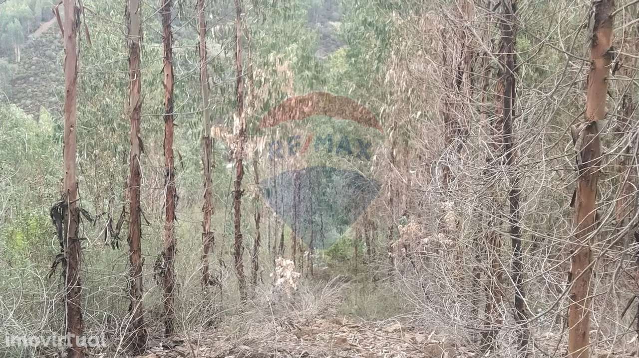 Terreno  para venda - Grande imagem: 3/15