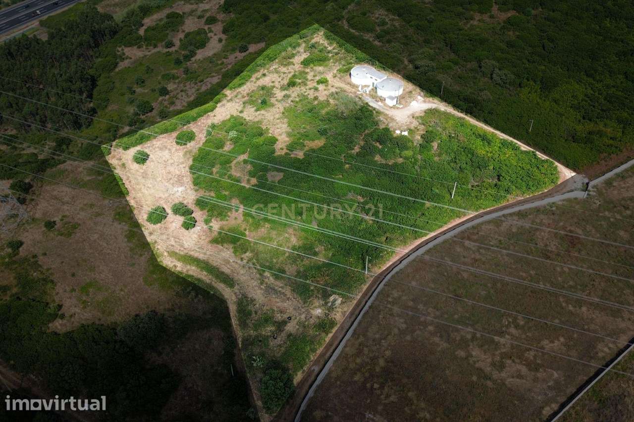 Terreno com Potencial Agrícola e Ambiental | 11.580 m² – Murteira - Grande imagem: 2/18