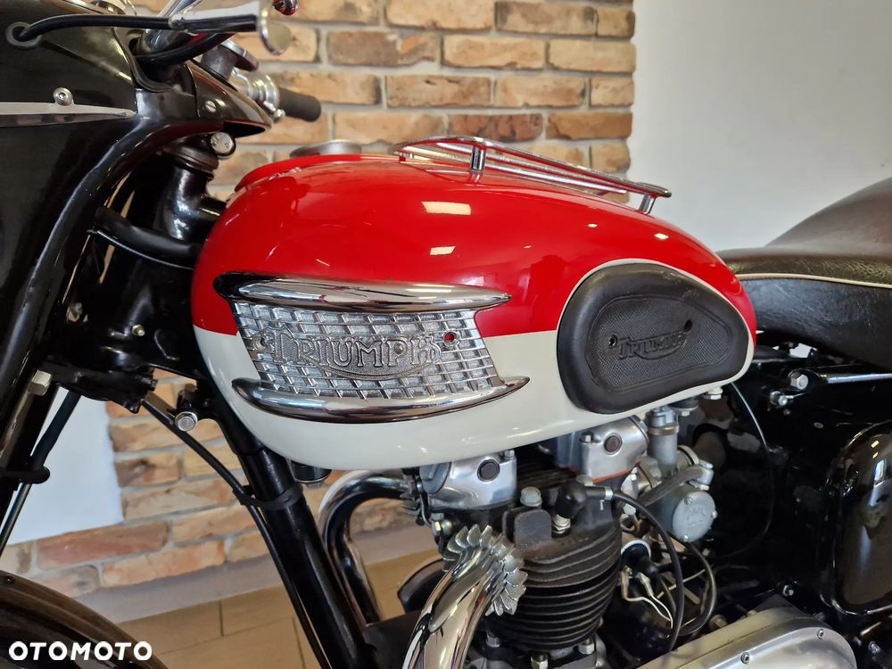 Triumph Speed Twin - 26