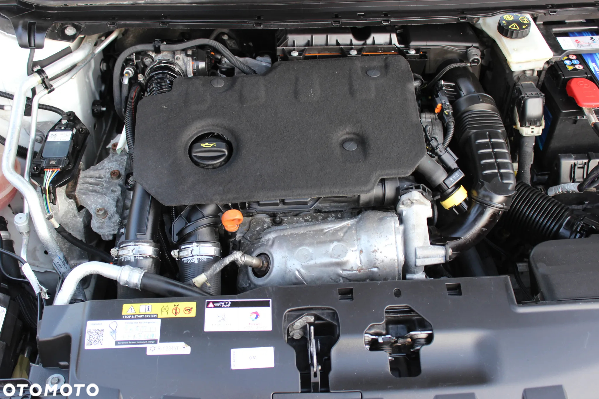 Peugeot 308 1.5 BlueHDi Active S&S - 30