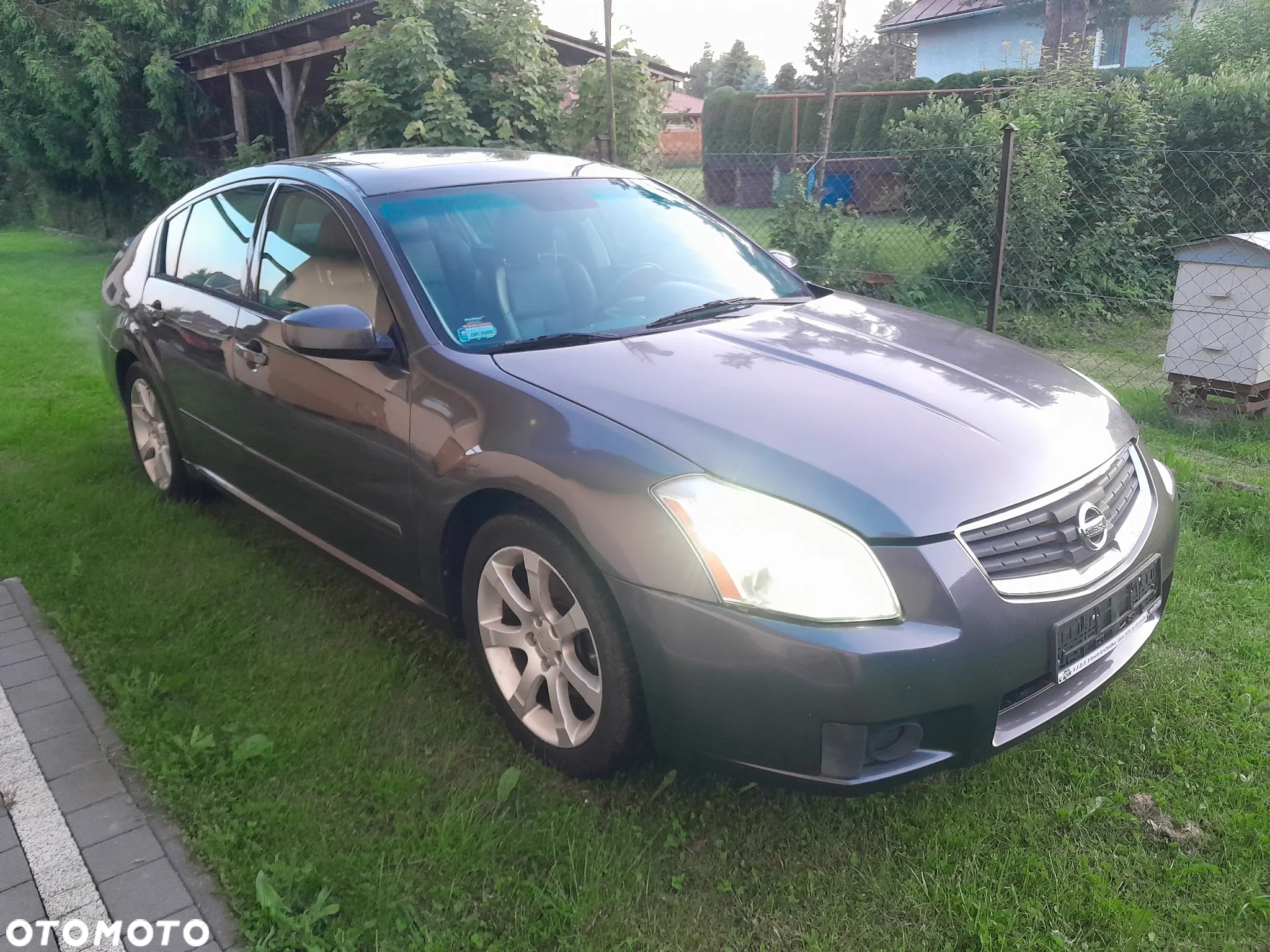 Nissan Maxima 3.5 SL - 3