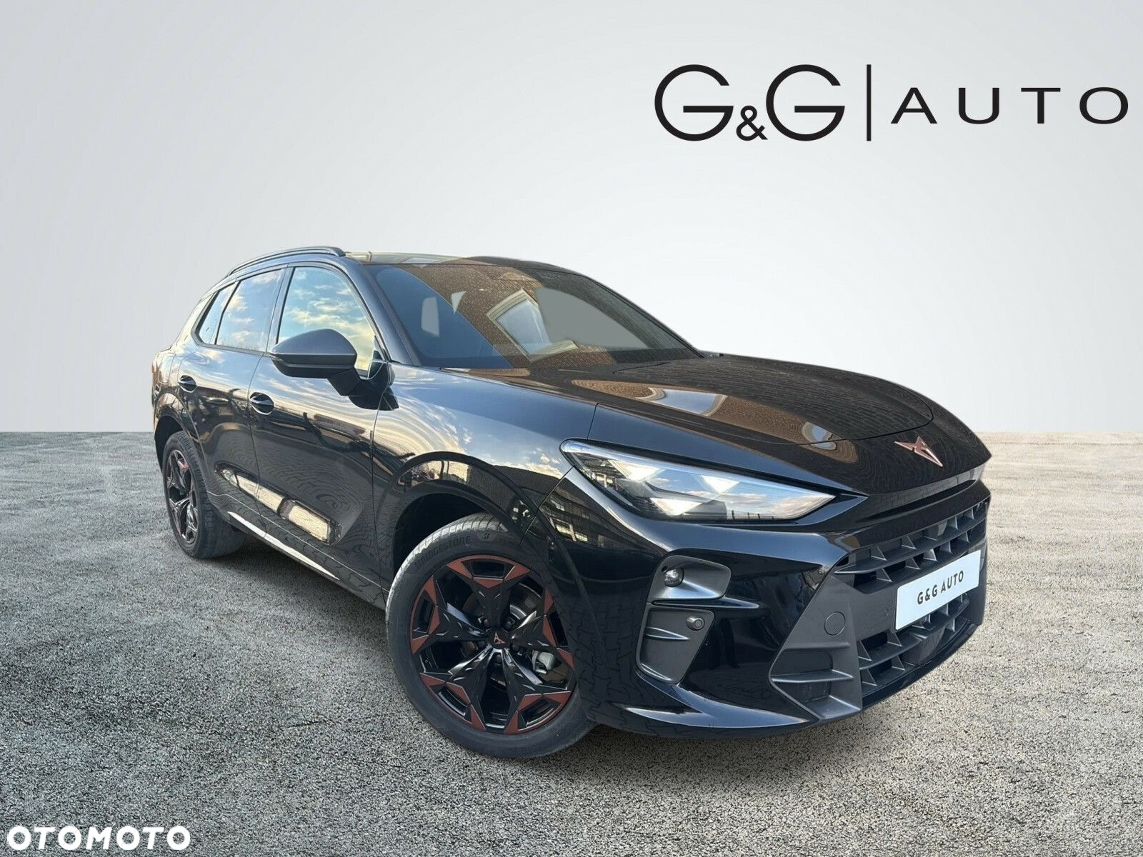 Cupra Terramar - 2