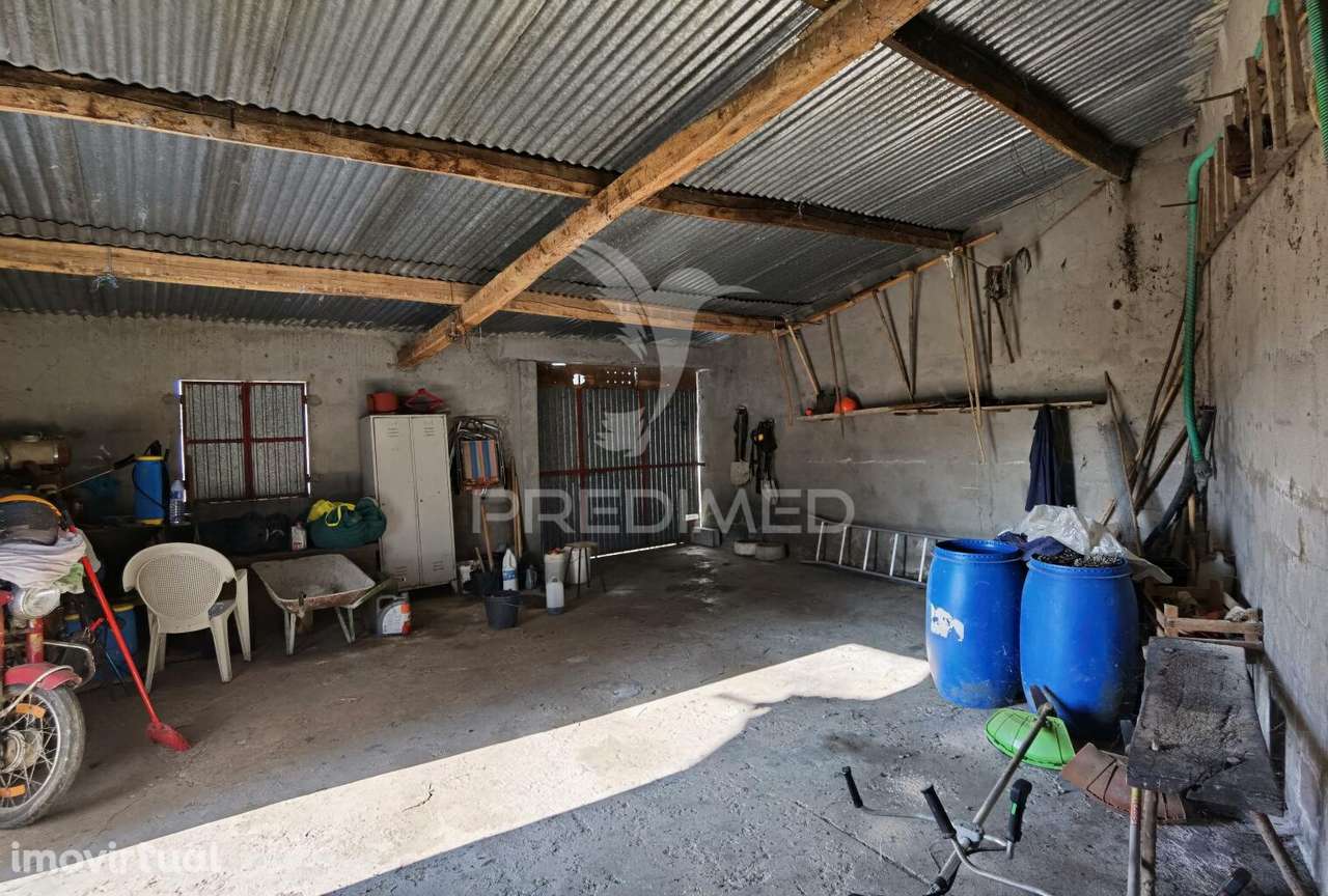 Terreno Rústico de 1000m² à Venda – O Almeirim, Arneiro das Milhariças - Grande imagem: 3/23