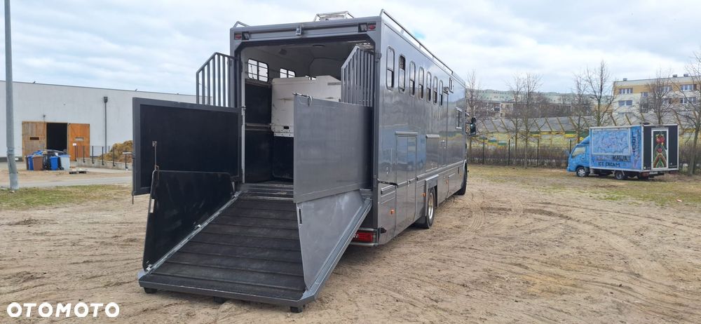 Scania Koniowóz 7-koni + living - 7