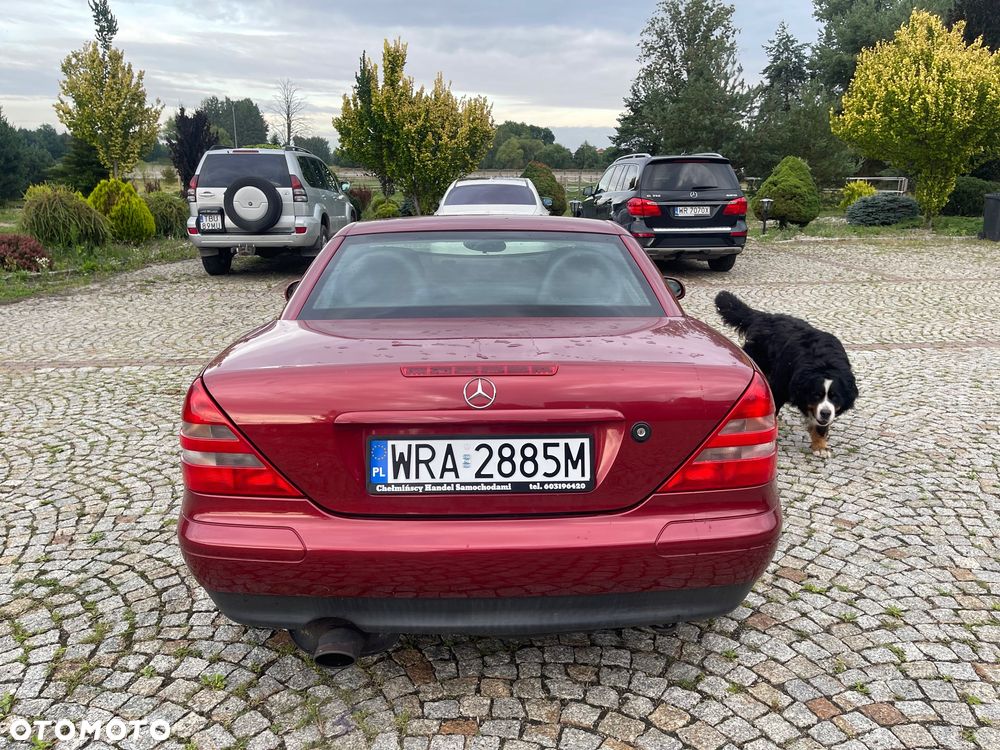 Mercedes-Benz SLK - 6