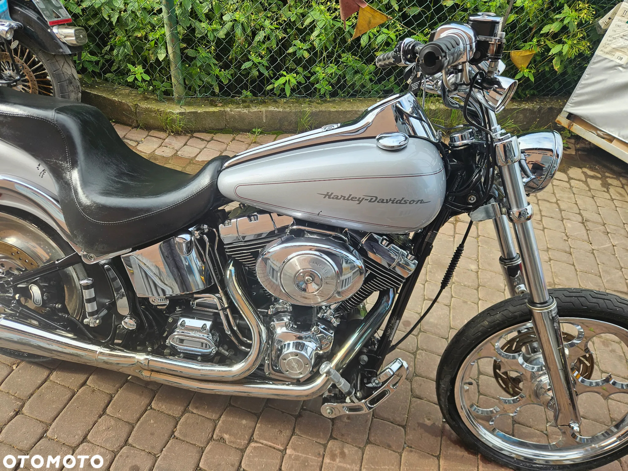Harley-Davidson Softail Standard - 4