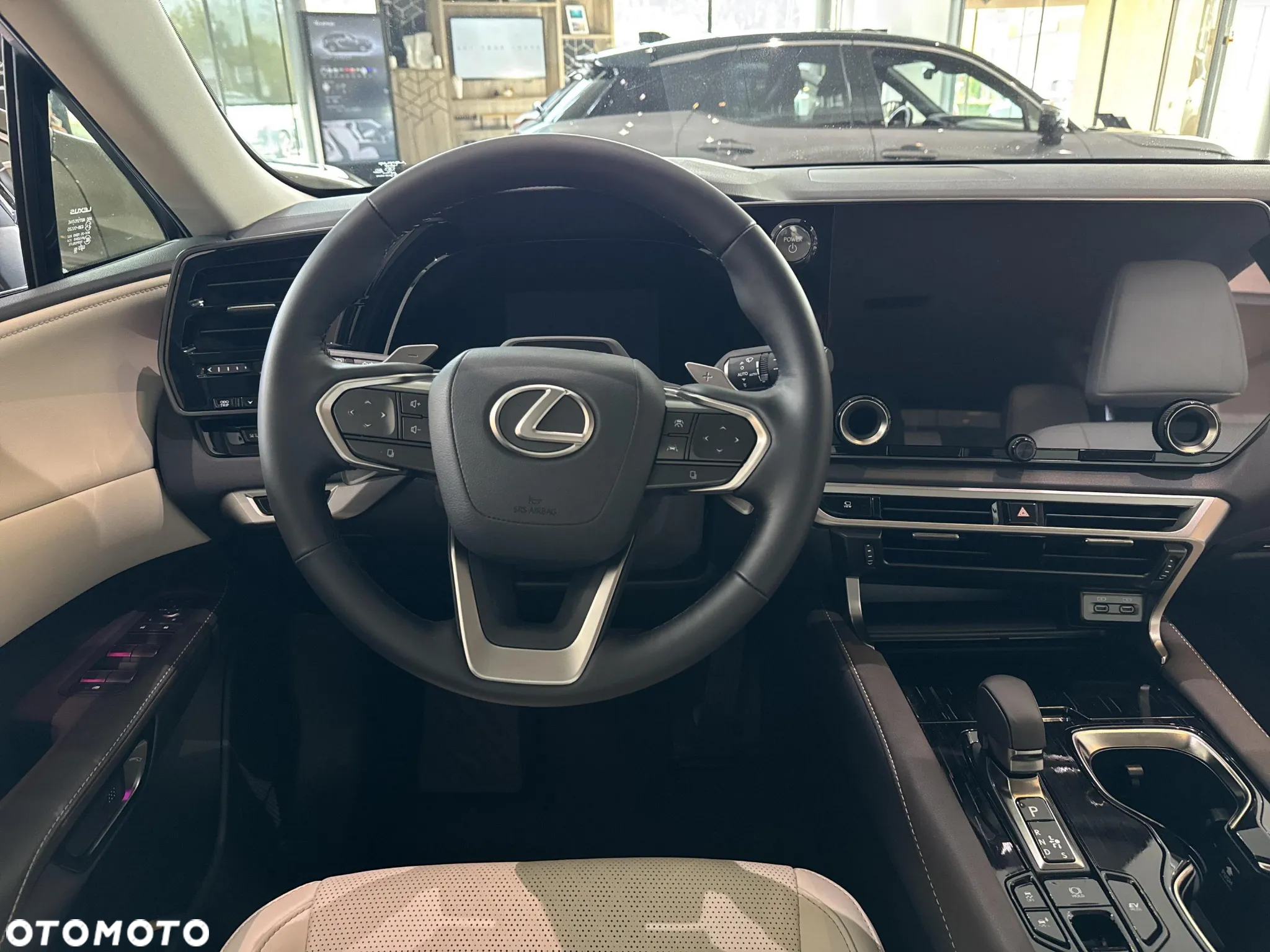 Lexus RX - 12