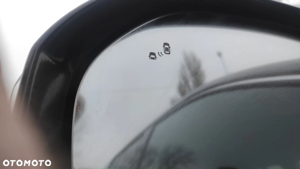 Hyundai Santa Fe 2.2 CRDi Platinium 4WD - 40