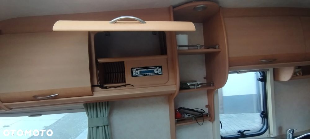 Coachman Amara - 5