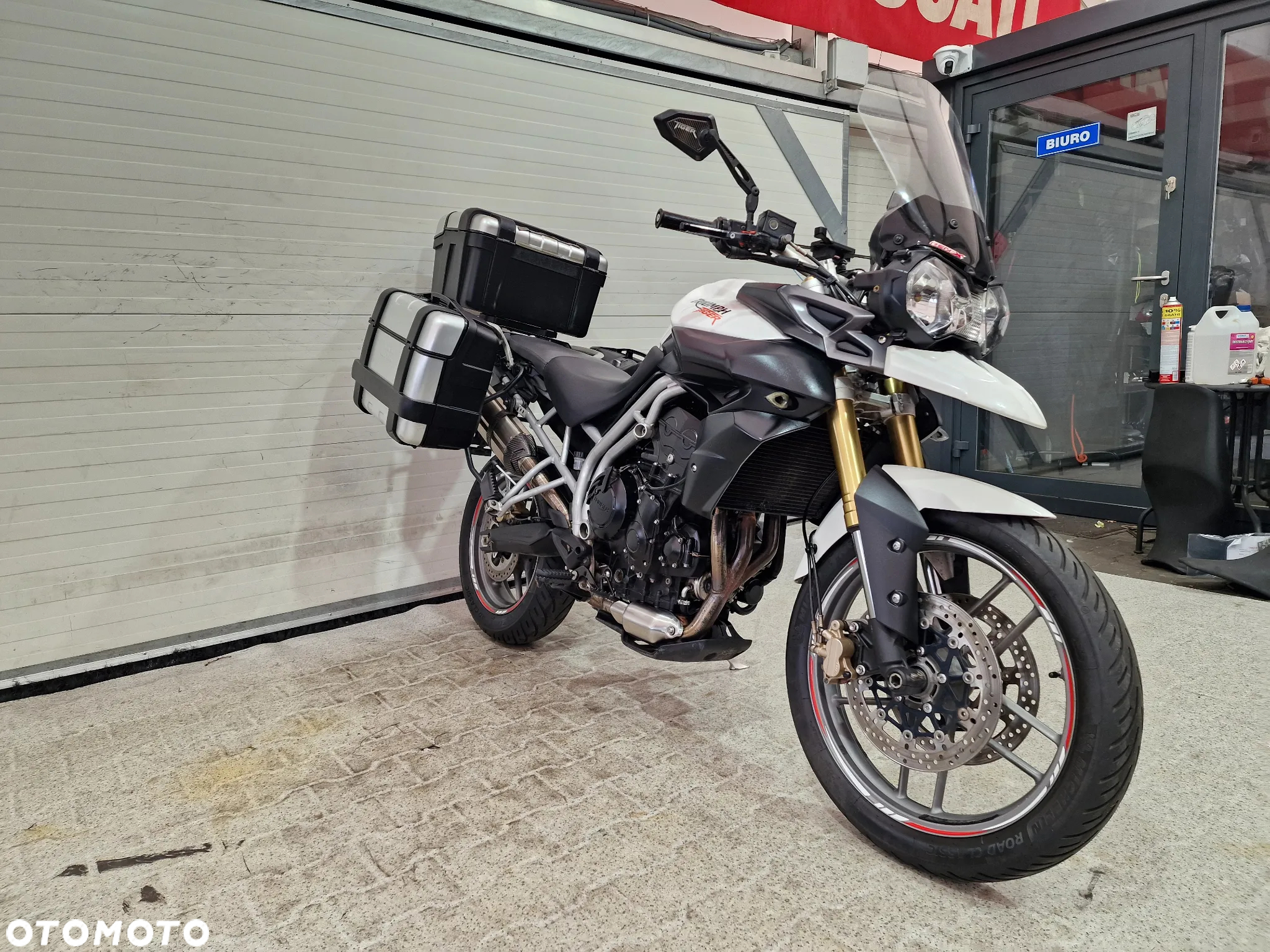 Triumph Tiger - 4