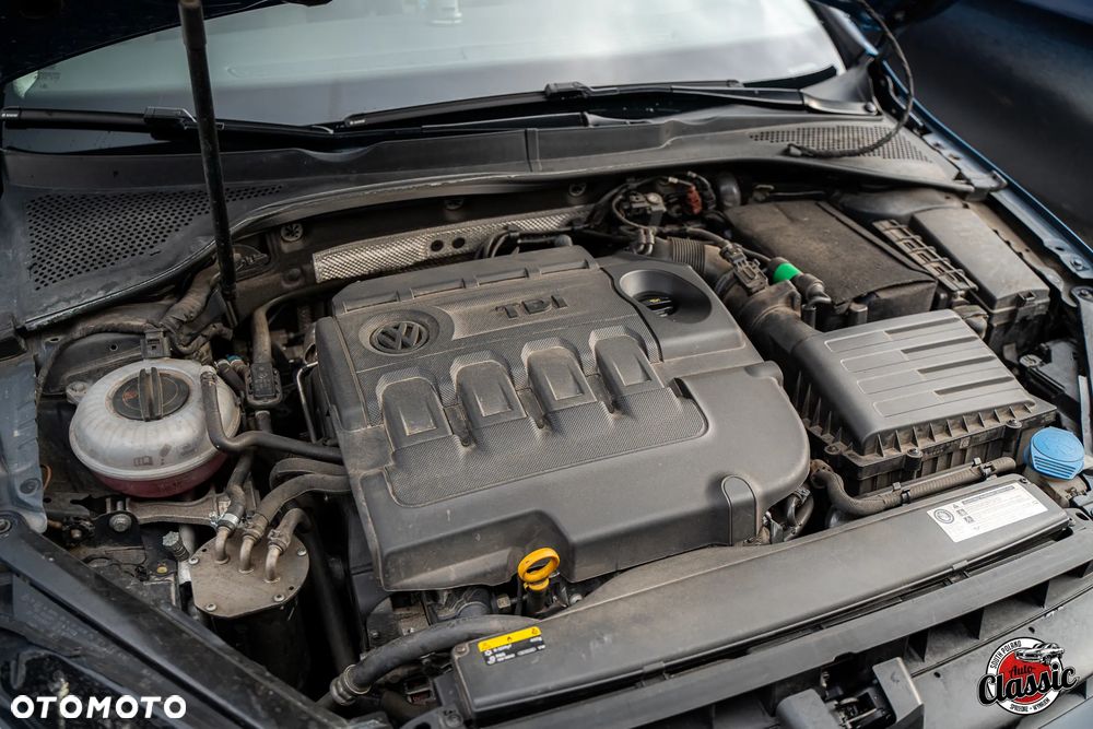 Volkswagen Golf - 16