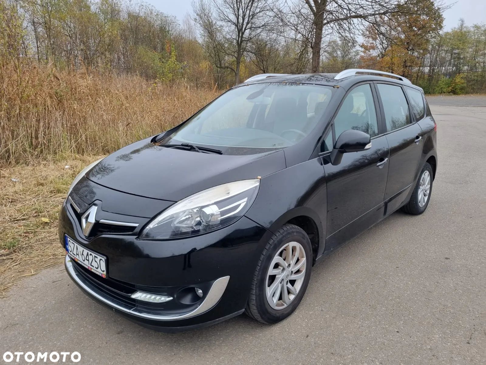 Renault Scenic - 1
